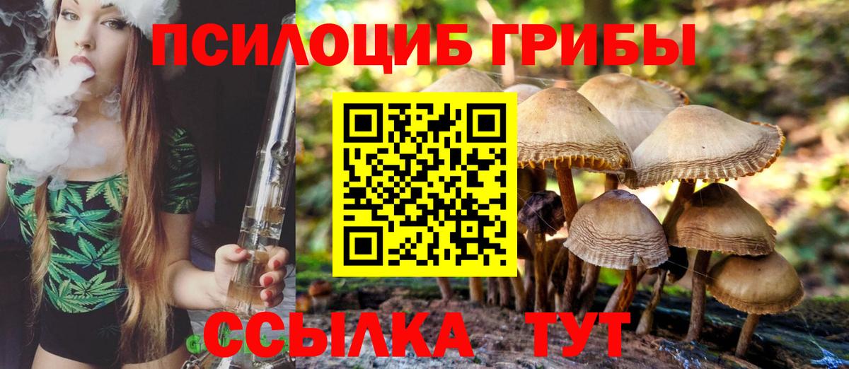 Псилоцибиновые грибы Psilocybe  Галлюциногенные грибы Psilocybine cubensis  Вход с VPN  Октябрьский 